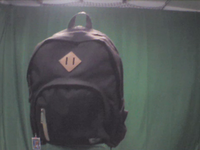 0 Degrees _ Picture 9 _ Black Herschel Supply Co Backpack.png